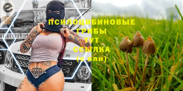 прущая мука Медногорск