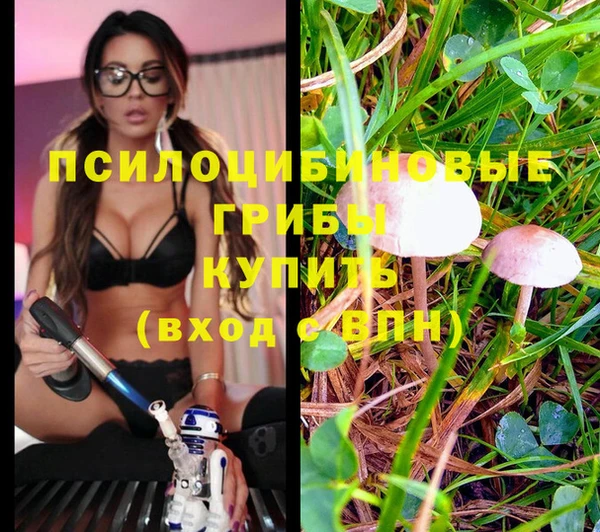 кристаллы Мегион